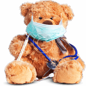Teddy Bear